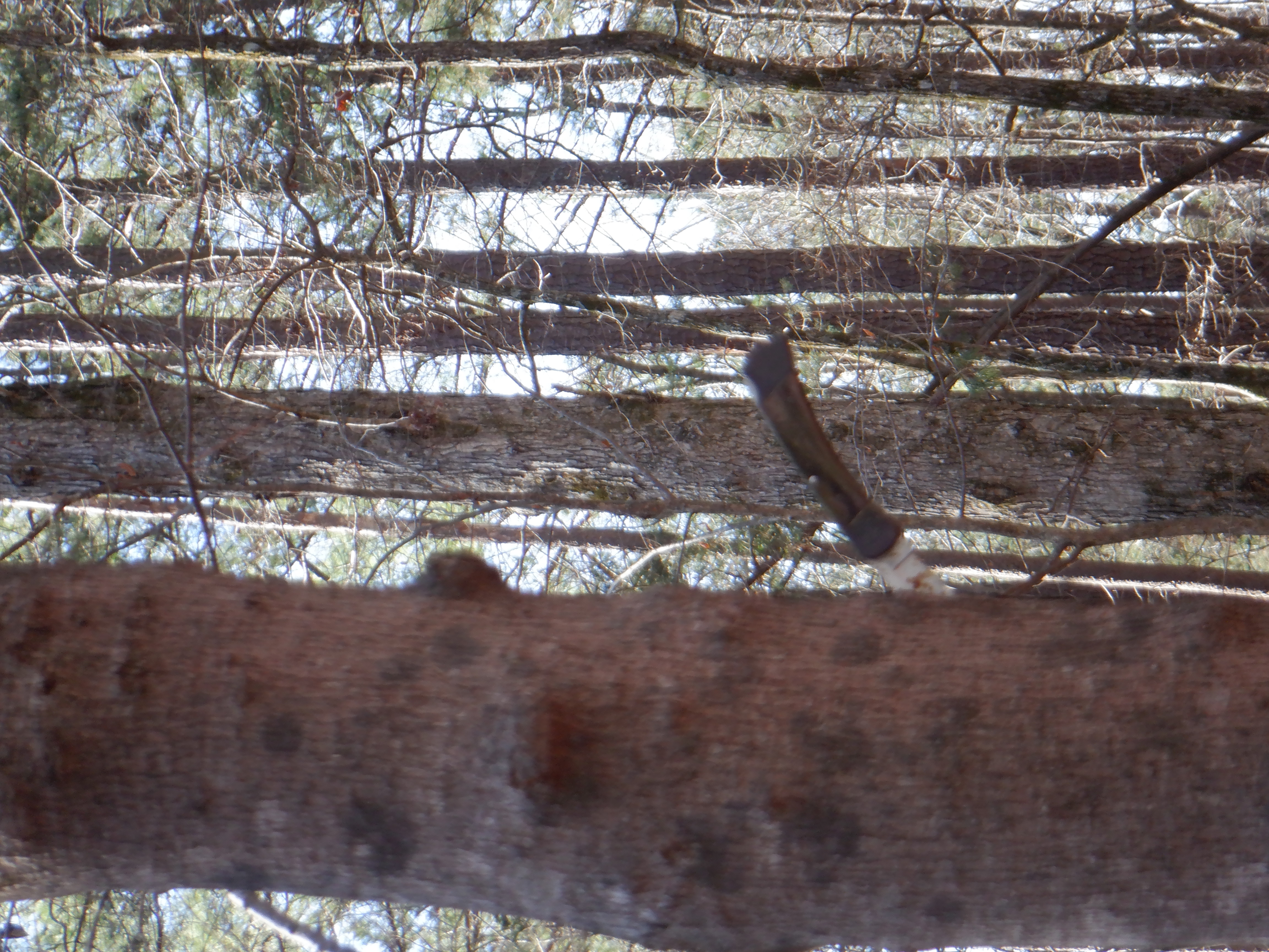 ./2020/01 - Find Larry/DSCF0839.JPG